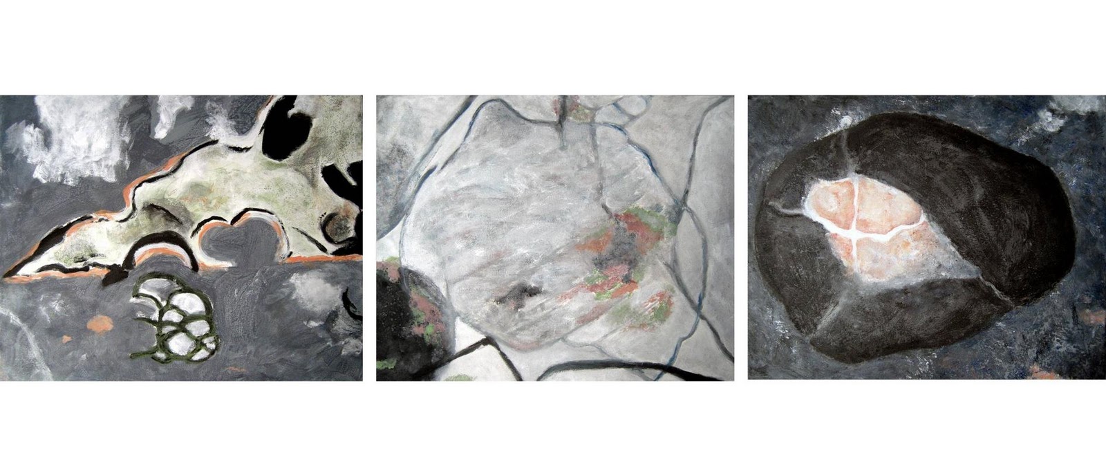 In Geological Evidence, Dona Jalufka presents the CretaceousTertiary