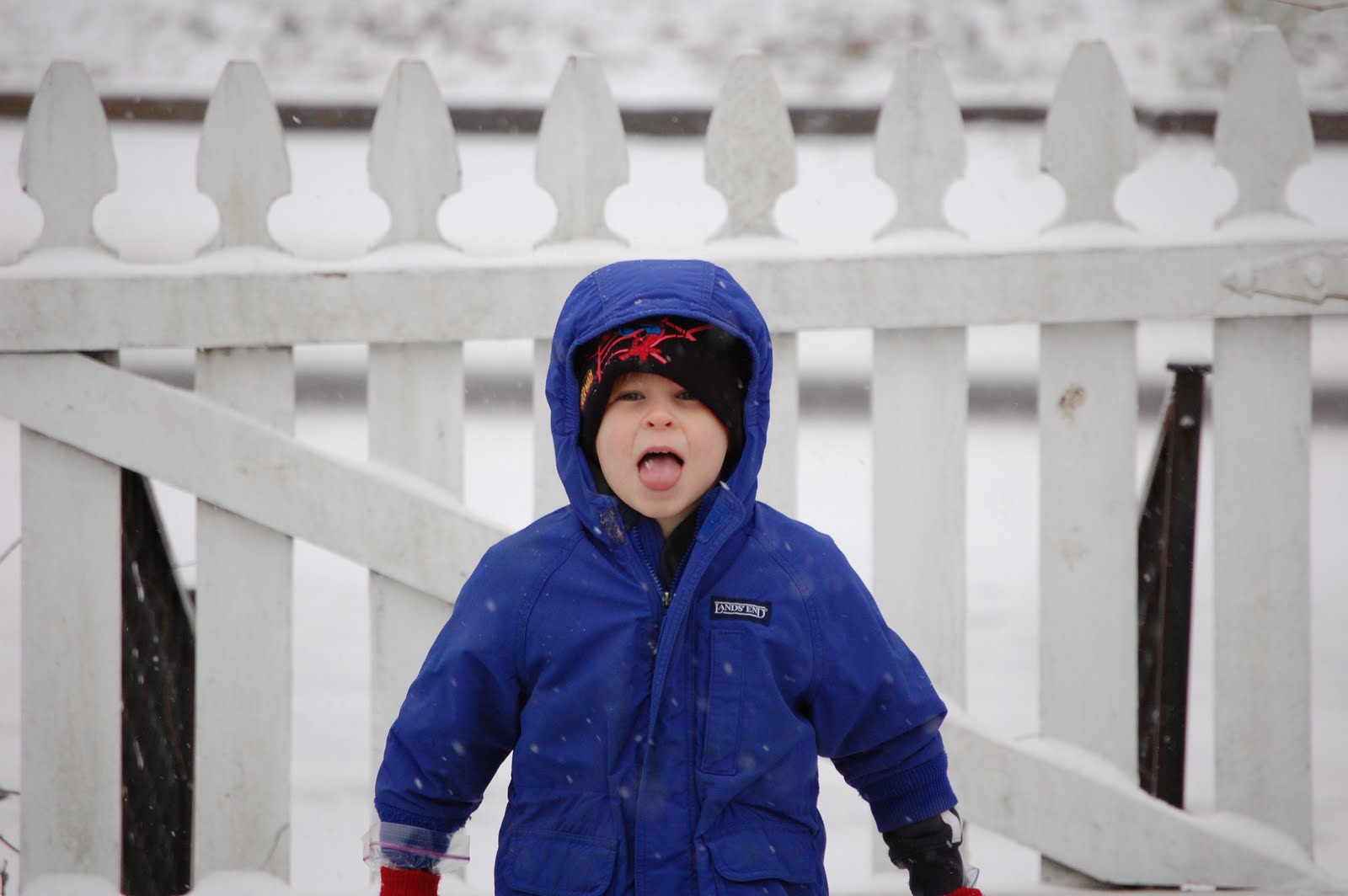 [snow+day+004.JPG]