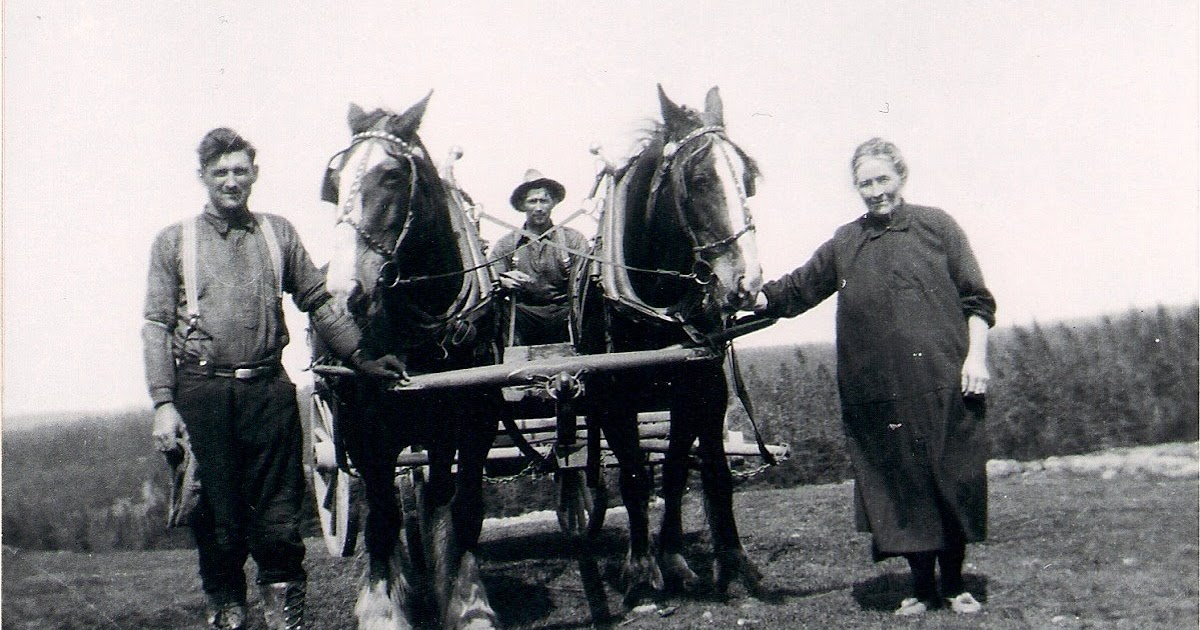 acadianroots Chezzetcook and Soldier's Cove