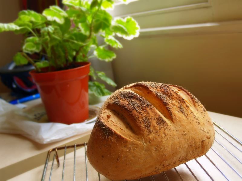 [bread.jpg]