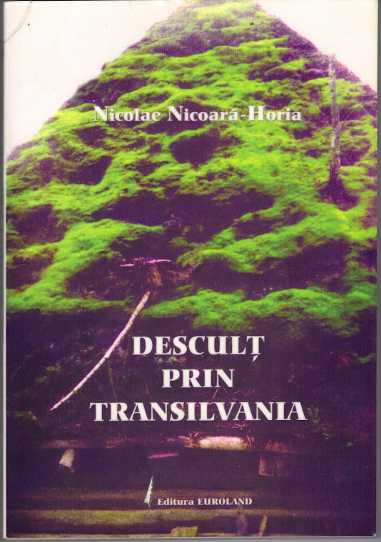 DESCULŢ PRIN TRANSILVANIA