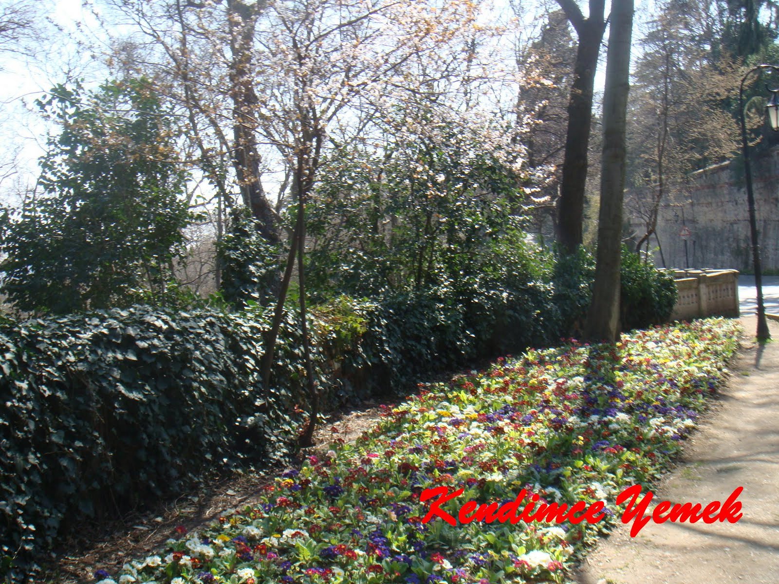 [çiçekli+yol.JPG]
