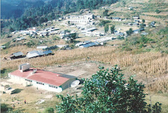 Mier Y Teran