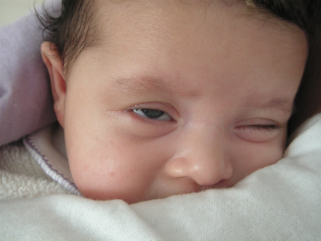 [PICT0010.JPG]