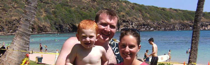 Curtis and Amy Price Family
