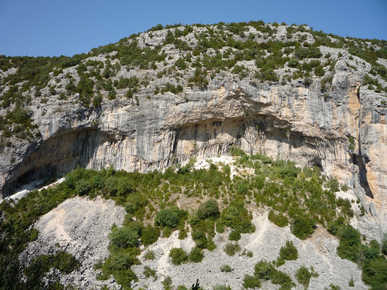 [P1020276.JPG]