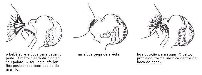 [boa_pega_1.JPG]