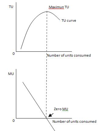 [tumu+curve.JPG]