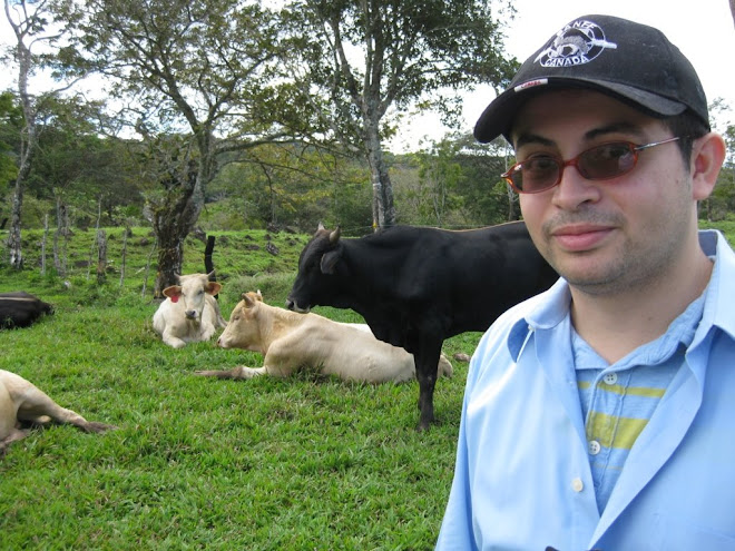 Luis with cows