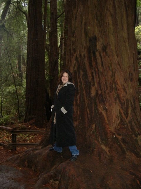 muir woods