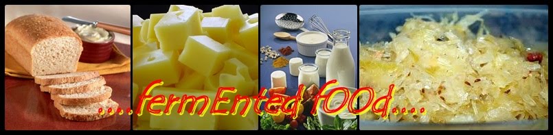 .::: Micr0bIoLogY FerMenTeD fOoD :::.