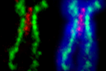 [GENE_01.jpg]