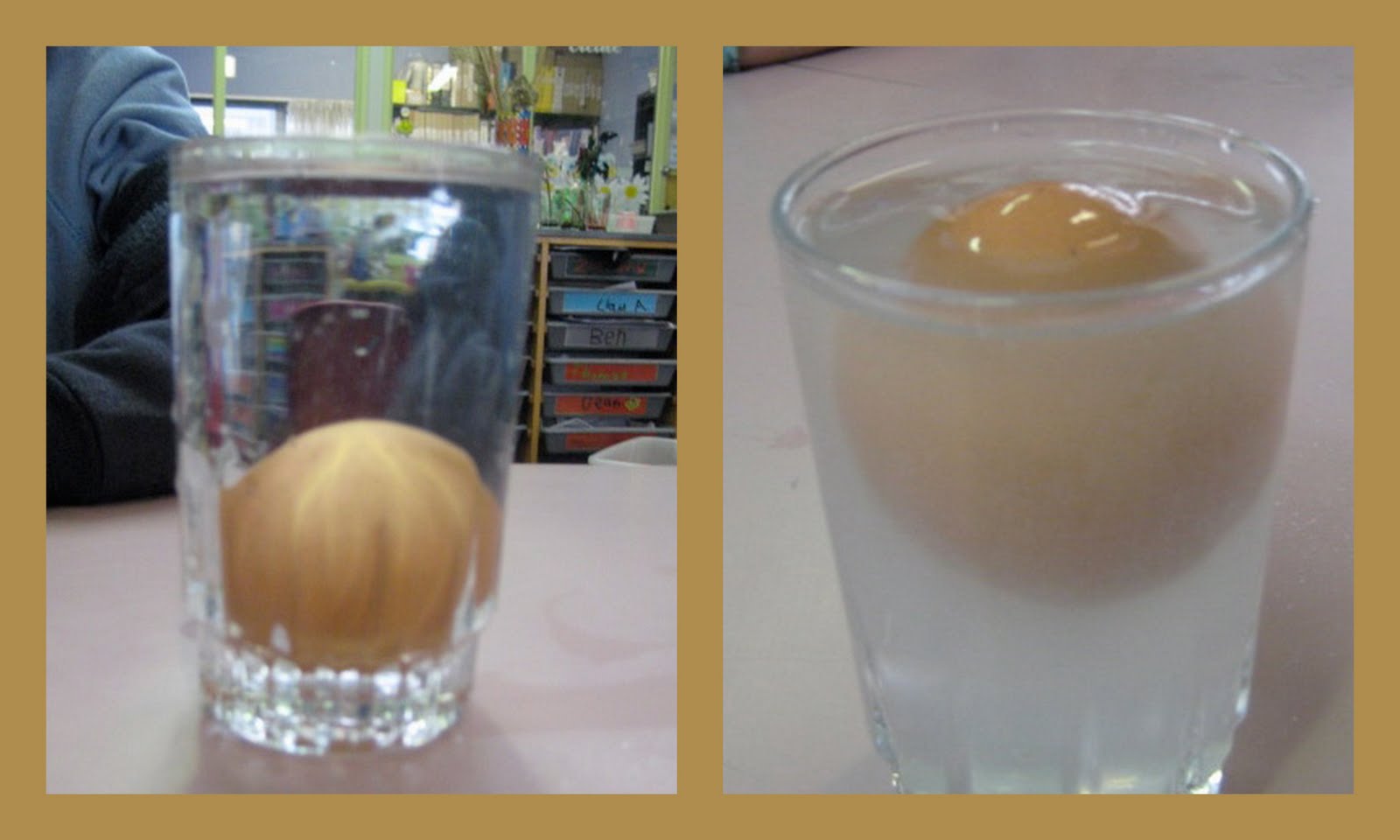 The Rockets Floating and Sinking Eggs!