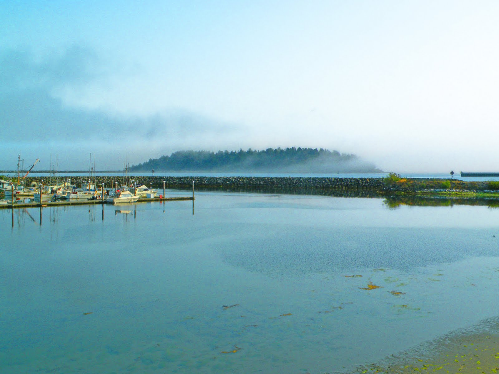 Captured by Cathy Trip to Neah Bay, Port Angeles, and Sequim