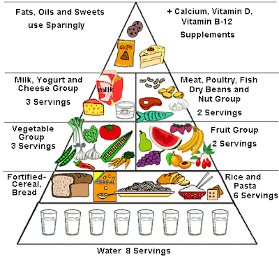 6 food groups pyramid. six food groups pyramid