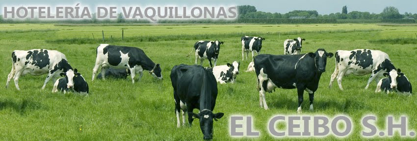 Hotelería de Vaquillonas ''El Ceibo S.H.''