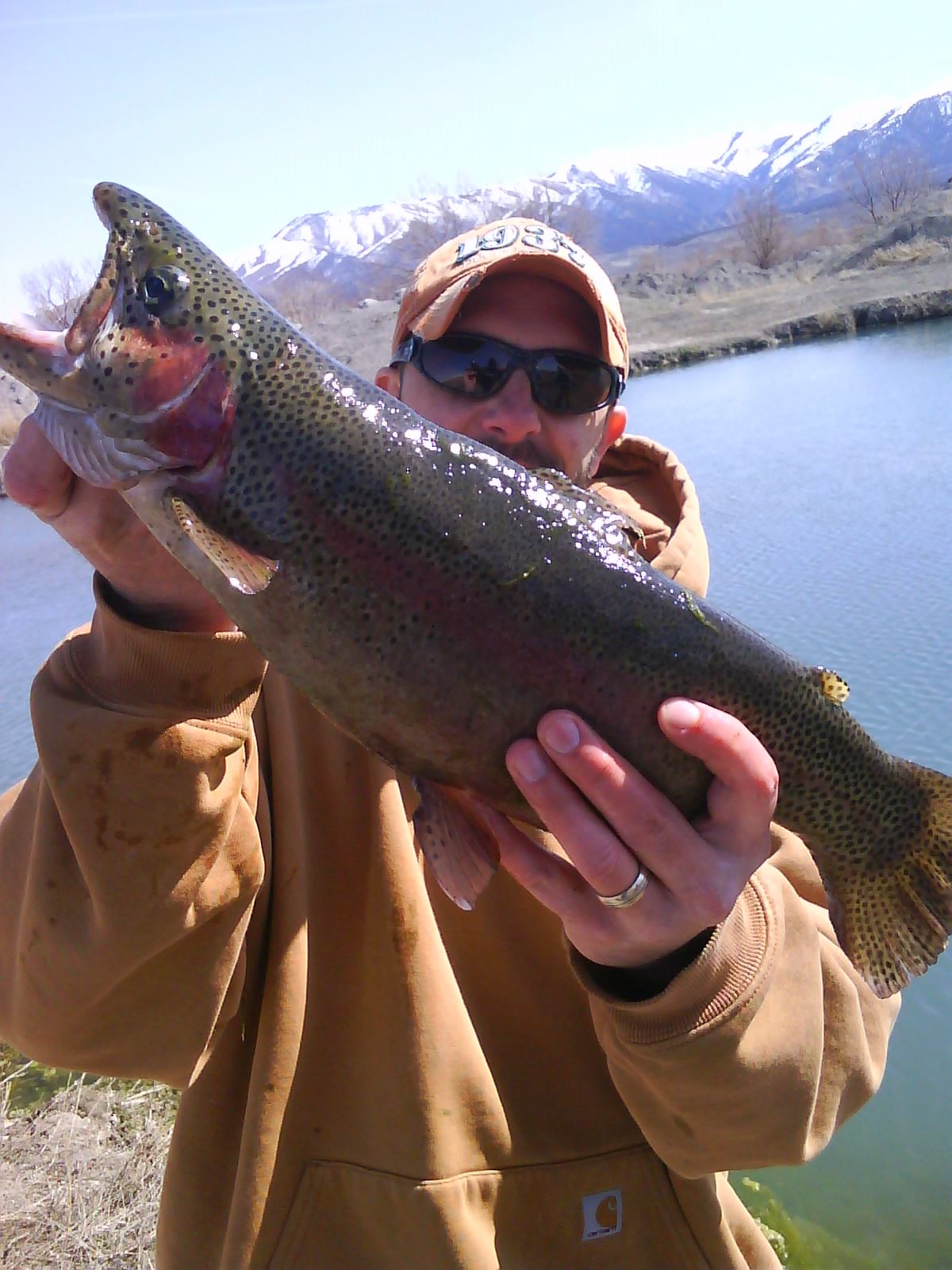 Utah Fly Fishing Tips and Photos Guide Services Best Year Round Open