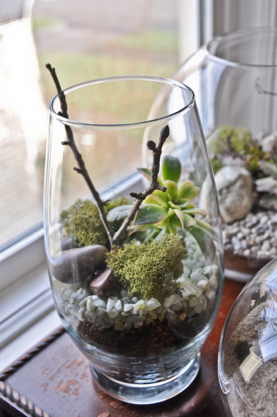Good to Know... How to Make a Terrarium!
