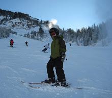 Snowbird January 2010