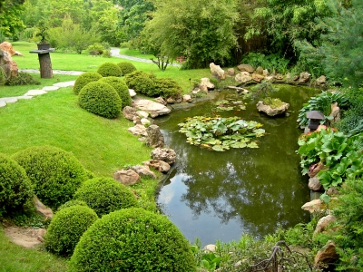 Plantas Flores y Jardin: Un estanque en el jardin