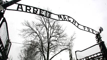[Auschwitz.JPEG]