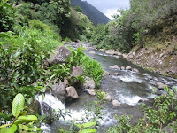 Iao Stream Maui Iao Valley Hawaii State Park