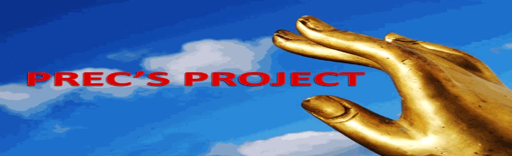 Prec's Project