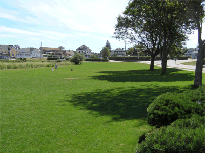 Vivgarden: Arregla tu jardín y te da consejos: FERTILIZACIÓN, CUIDADO Y