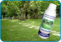 Vivgarden: Arregla tu jardín y te da consejos: CUIDADO DEL CÉSPED