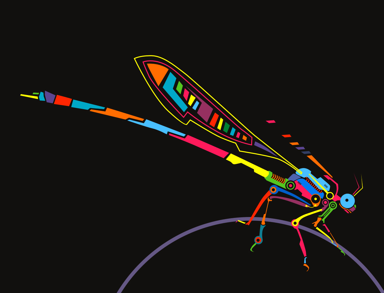 Libelula dibujo animado Imagui