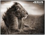 JESUS, o Leão da tribo de Judá