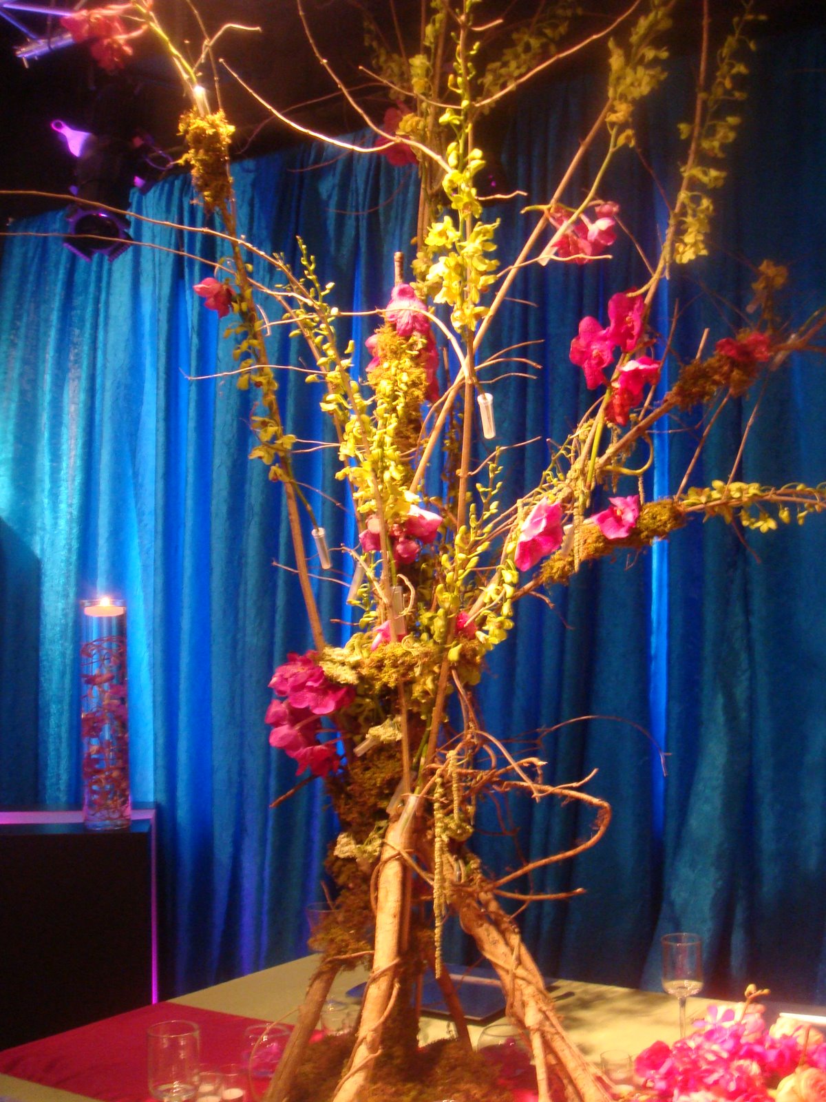 [TROPICAL+CENTERPIECE+WASHINGTON+DC.JPG]