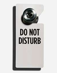 [disturb.bmp]