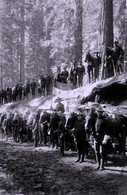 Yosemite - Fallen Monarch (clic pour agrandir) photo : Yosemite Research Library Yosemite - Fallen Monarch