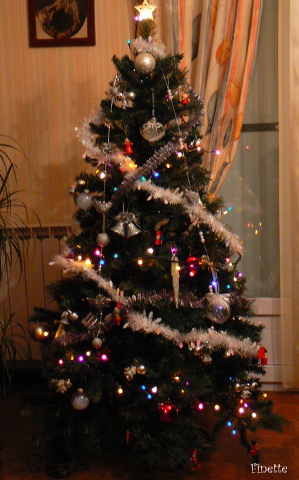 [sapin+20091.jpg]