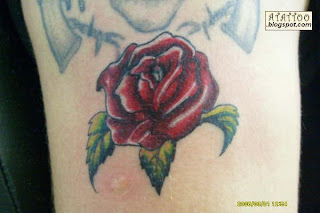 Rosa vermelha tatuada nas costas