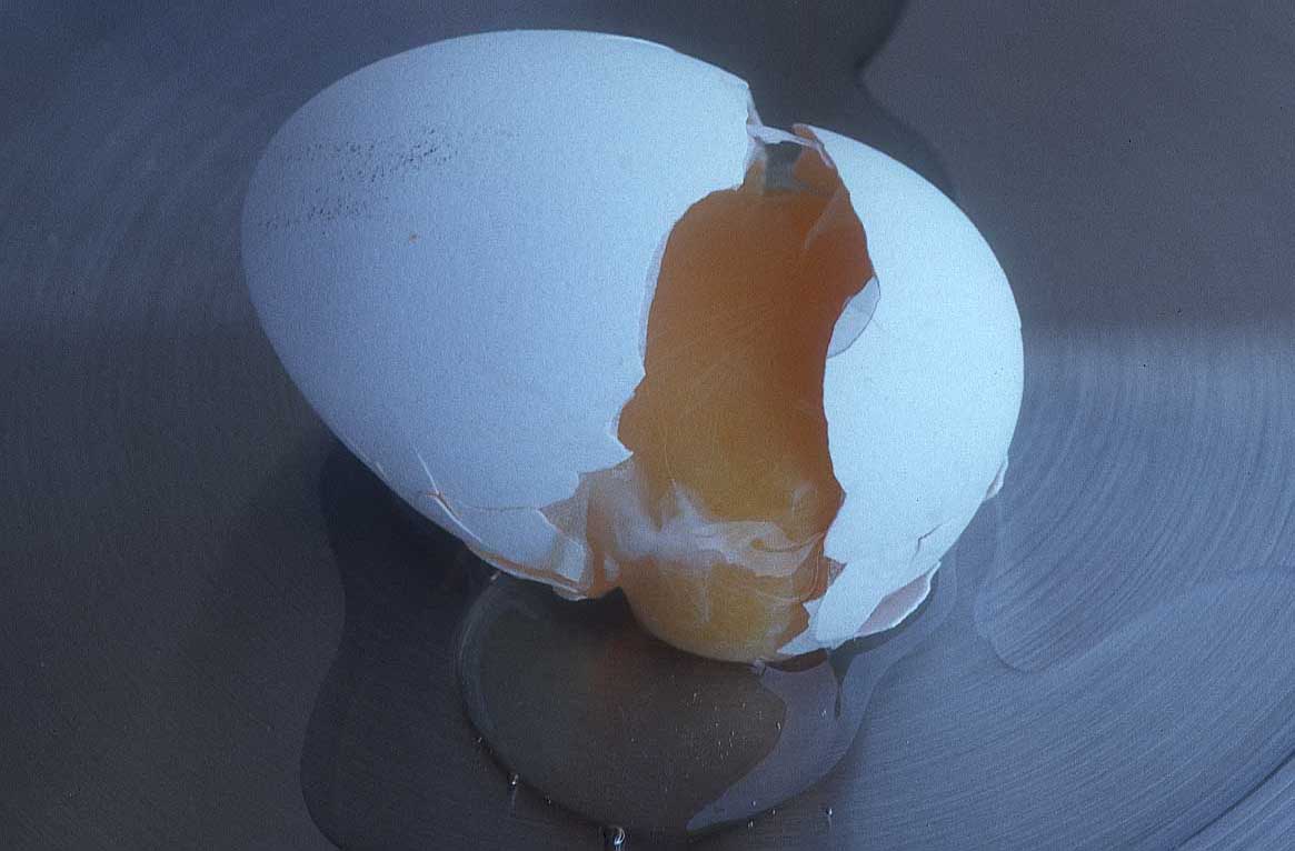 Egg Open