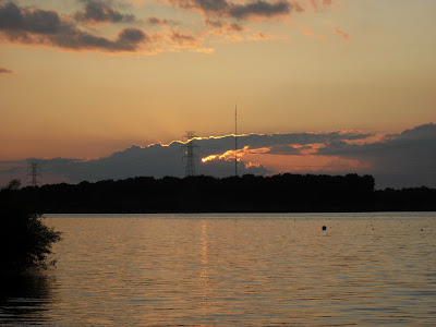 mercer nj