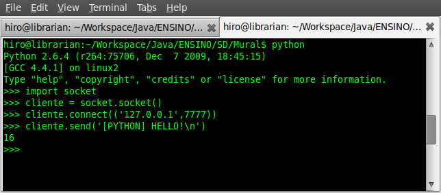 [muralPython.png]