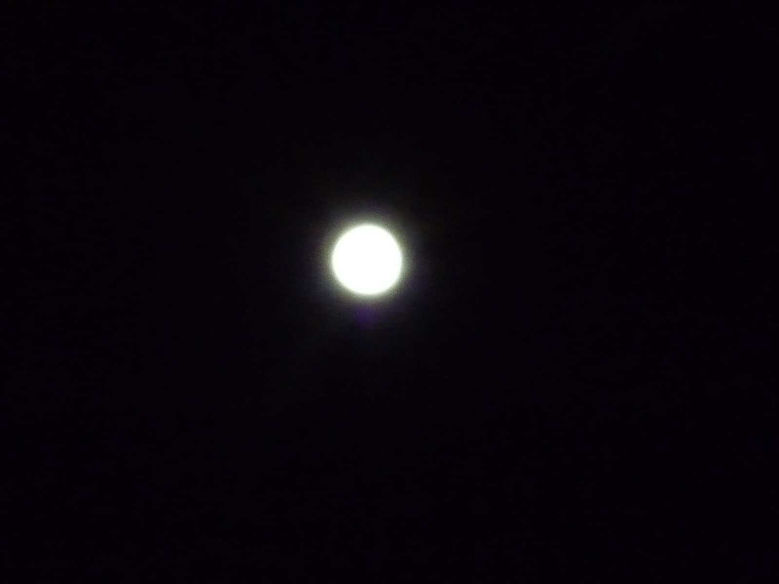 [P1020159.JPG]