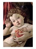 [44341_b~Detail-of-the-Child-with-Pomegranate-from-the-Madonna-Della-Melagrana-Posters.jpg]