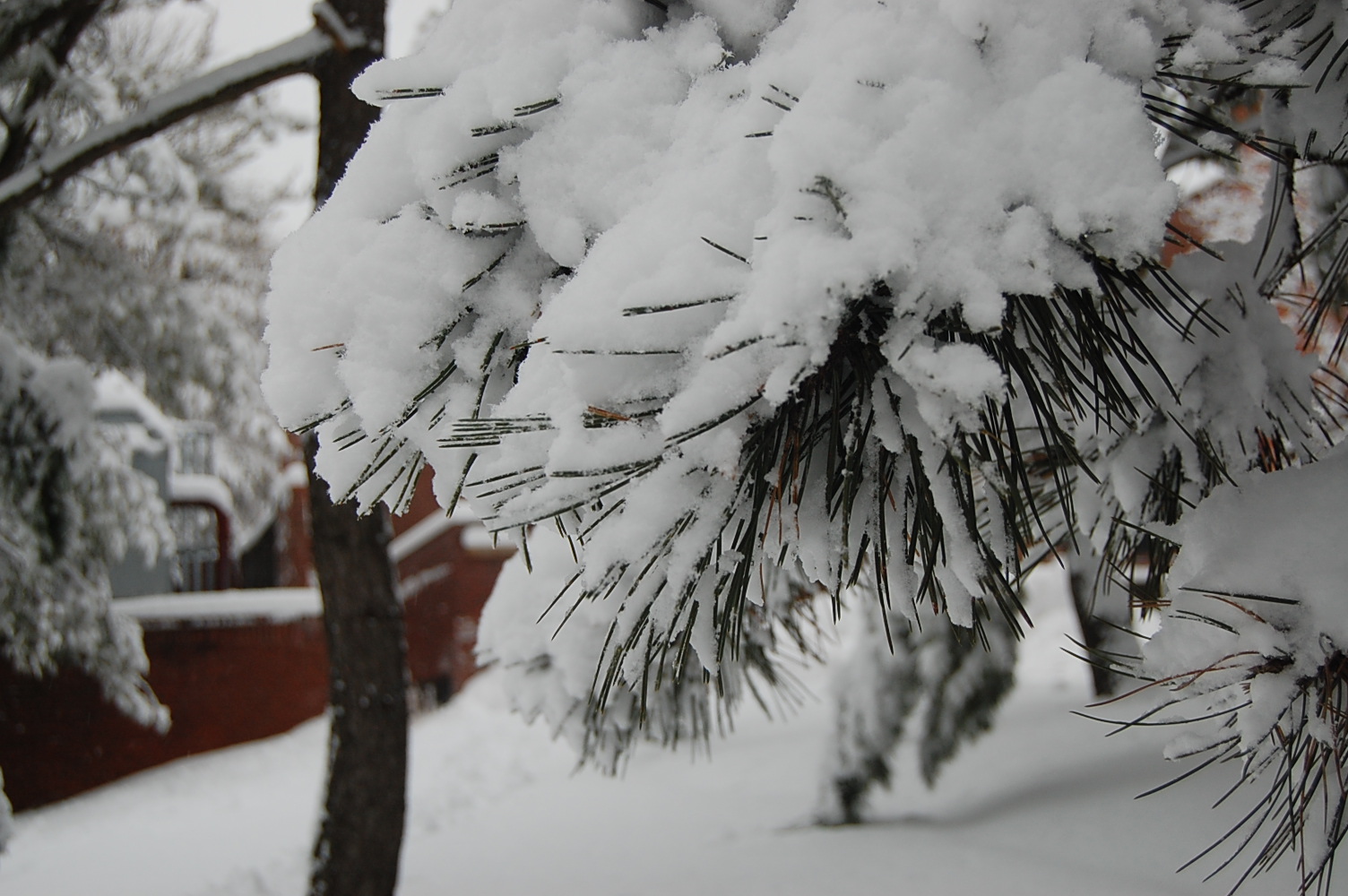[DSC_0044.JPG]