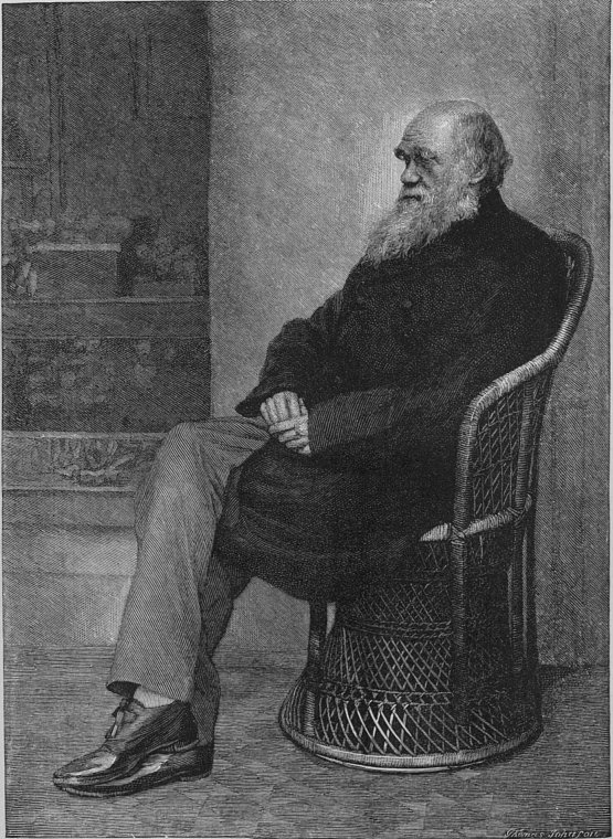 [darwin+with+halo]