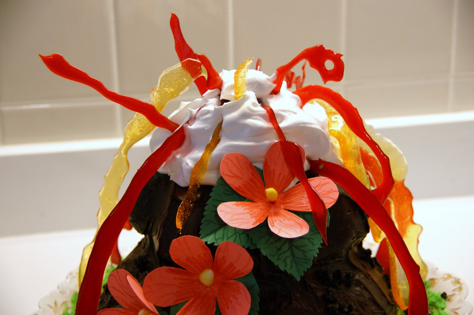 [CakeTopCloseUp.JPG]