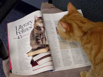 cat fancy magazine march 2010