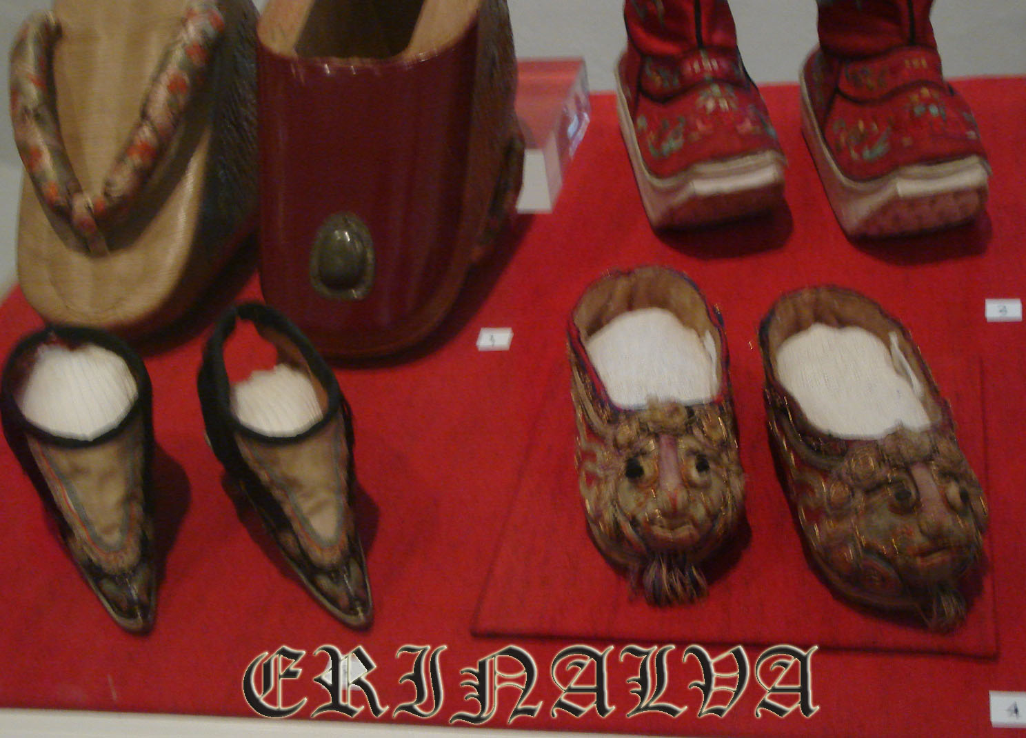 [DSC02665+copia.jpg]