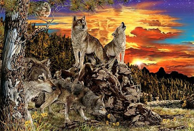 17 Hidden Wolves