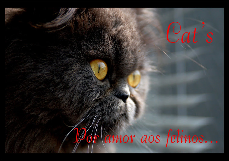 CAT'S