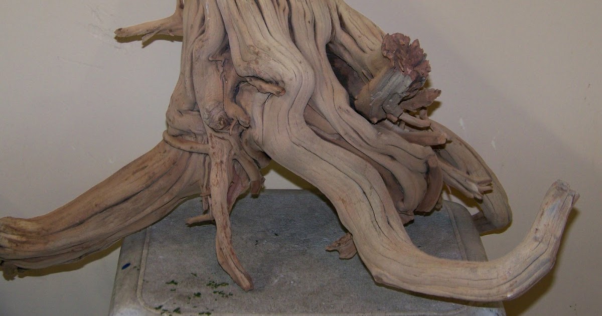 APRIL'S AQUARIUM Manzanita Wood