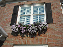 2008 Windowsill Flowers
